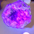 Pink Amethyst, Pink Amethyst Geode **New Find** Pink Amethyst Cluster, Pink Amethyst from Argentina, Rose Amethyst