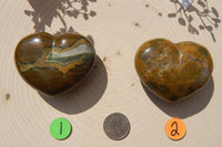 Ocean Jasper Crystal Heart Polished Heart Stone Puffy Heart, Ocean Jasper Heart Crystal, Crystal Ocean Jasper Heart