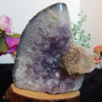 Amethyst Crystal Cluster Geode w/cut base, Fluorescent Calcite