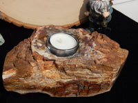 Petrified Wood Candleholder