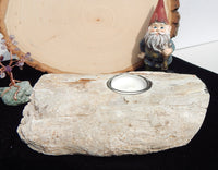 Petrified Wood Candle holder