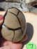 Septarian Dragon Crystal Stone Egg Nodules