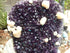QUALITY DARK Amethyst Crystal Cluster Display with Stand, Uruguay AAA++ Quality