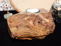 Petrified Wood Candleholder