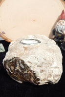Petrified Wood Candle holder