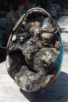 Septarian Dragon Crystal Stone Egg Nodule