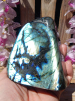 Labradorite Free Form Display, Polished Labradorite Crystal Free Form, Labradorite Protection Free Form Crystal