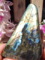 Labradorite Free Form Display, Polished Labradorite Crystal Free Form, Labradorite Protection Free Form Crystal