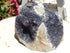 Amethyst Crystal Cluster Geode Cut Base Display, Cut Base Amethyst, Amethyst Cluster