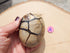 Septarian Dragon Crystal Stone Egg Nodules, Crystal Septarian Egg Nodule, Septarian Crystal Stone Egg, Septarian Dragon Crystal Egg