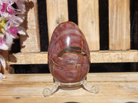 Petrified Wood Polished  Free Form Egg Display, Petrified Wood Egg
