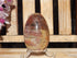 Petrified Wood Polished  Free Form Egg Display, Petrified Wood Egg