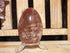 Petrified Wood Polished  Free Form Egg Display, Petrified Wood Egg