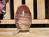 Petrified Wood Polished  Free Form Egg Display, Petrified Wood Egg