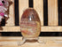 Petrified Wood Polished  Free Form Egg Display, Petrified Wood Egg