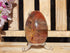 Petrified Wood Polished  Free Form Egg Display, Petrified Wood Egg