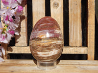Petrified Wood Polished  Free Form Egg Display, Petrified Wood Egg