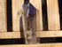 Amethyst Crystal Point, Point Amethyst Crystal, Amethyst Point Crystal