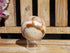 Rainbow Calcite Crystal Stone Sphere 2&quot;