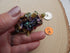 Bismuth