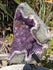 Amethyst Crystal Cluster Display with Stand, Crystal Amethyst Display Cluster, Cluster Amethyst Crystal Display, Amethyst Crystal