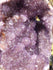 Amethyst Crystal Cluster Display with Stand, Crystal Amethyst Display Cluster, Cluster Amethyst Crystal Display, Amethyst Crystal