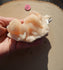Apophyllite Crystal Cluster, Crystal Apophyllite, Apophyllite Cluster, Raw Natural Apophyllite Crystal Cluster,