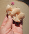 Apophyllite Crystal Cluster, Crystal Apophyllite, Apophyllite Cluster, Raw Natural Apophyllite Crystal Cluster,