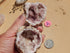 Pink Amethyst, Pink Amethyst Geode Pair**New Find** Pink Amethyst Cluster, Pink Amethyst from Argentina