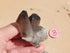 Smoky Quartz Crystal Cluster, Crystal Smoky Quartz, Cluster Quartz Smoky, Smoky Crystal Quartz