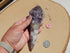 Amethyst Crystal Wand, Wand Amethyst Crystal, Amethyst Wand Crystal