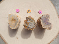 Petrified Wood Free Form Display, Free Form Petrified Wood Display, Petrified Wood Home Decor