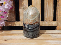 Picasso Jasper Crystal Polished Free Form Display, Picasso Jasper Free Form Crystal, Picasso Jasper Display