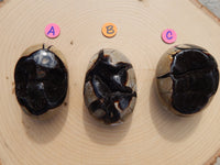 Septarian Dragon Crystal Stone Egg Nodules, Crystal Septarian Egg Nodule, Septarian Crystal Stone Egg, Septarian Dragon Crystal Egg