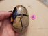 Septarian Dragon Crystal Stone Egg Nodules, Crystal Septarian Egg Nodule, Septarian Crystal Stone Egg, Septarian Dragon Crystal Egg