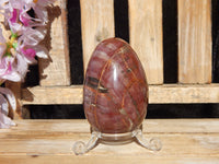 Petrified Wood Polished  Free Form Egg Display, Petrified Wood Egg