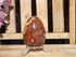 Petrified Wood Polished  Free Form Egg Display, Petrified Wood Egg