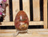 Petrified Wood Polished  Free Form Egg Display, Petrified Wood Egg