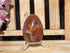 Petrified Wood Polished  Free Form Egg Display, Petrified Wood Egg