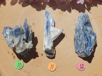 Blue Kyanite Raw, Kyanite Chakra Stone, Healing Kyanite Crystal, Raw Kyanite Blue