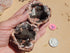 Pink Amethyst, Pink Amethyst Geode Pair  **New Find** Pink Amethyst Cluster, Pink Amethyst from Argentina