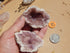 Pink Amethyst, Pink Amethyst Geode Pair**New Find** Pink Amethyst Cluster, Pink Amethyst from Argentina