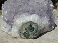 Amethyst Crystal Cluster Display Cut Base, Crystal Amethyst Cluster, Cluster Amethyst Crystal Display