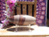 Shiva Lingam Stone 7&quot;, Sacred Shiva Lingam Stone, Fertility Stone Shiva Lingam