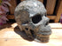 Crinoid Fossil 5&quot; Crystal Carved Stone Skull