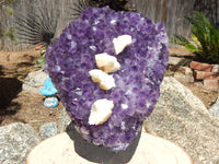 Amethyst Crystal Cluster Geode, Crystal Amethyst Cluster Geode Display, Geode Amethyst Crystal Cluster
