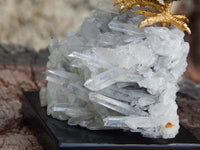 Toucan Gemstone Sculpture Free Form Display