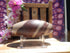 Shiva Lingam Stone 7&quot;, Sacred Shiva Lingam Stone, Fertility Stone Shiva Lingam