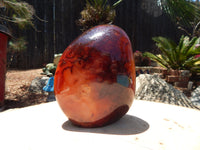 Carnelian Crystal Polished Free Form Display, Crystal Carnelian Polished Stone, Polished Carnelian Crystal Free Form