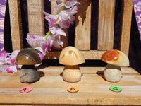 Ocean Jasper Crystal Semi-Polished Free Form Mushrooms, Free Form Ocean Jasper Mushrooms, Crystal Ocean Jasper Mushrooms